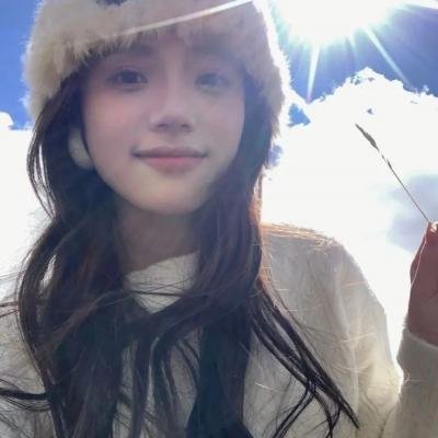 美国谍梦第四季